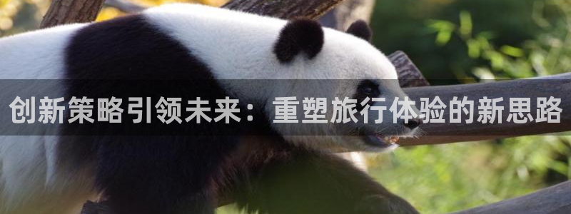 必赢官网app下载安装最新版苹果