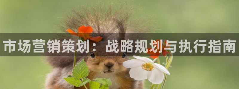 9965必赢苹果下载