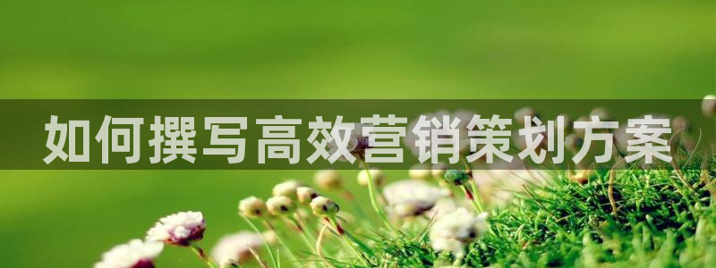 必赢亚赢网站官网下载安卓版：如